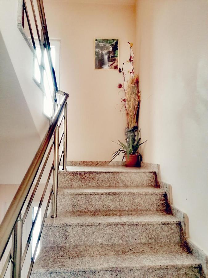 Apartment Daiv Sapareva Banya Exterior foto